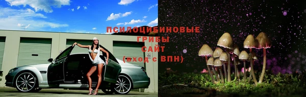 соль ск Балахна
