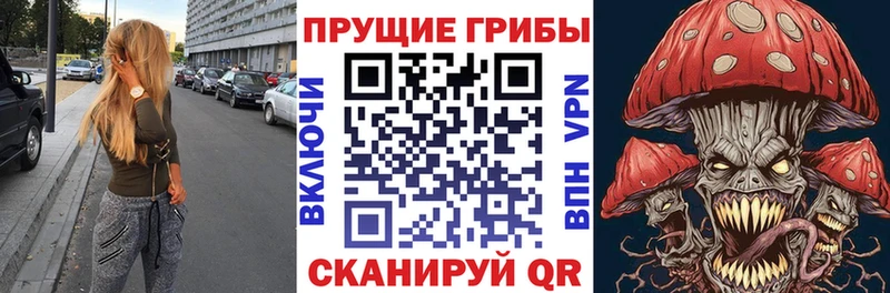 сайты даркнета какой сайт  Ильский  Псилоцибиновые грибы Cubensis 